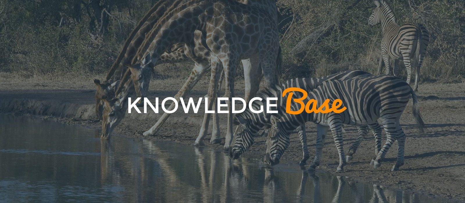 local SEO knowledge base